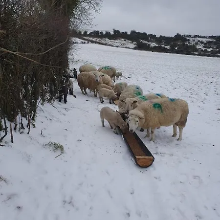 Claragh Semesterbostad