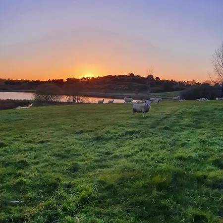 Semesterbostad Claragh Cavan