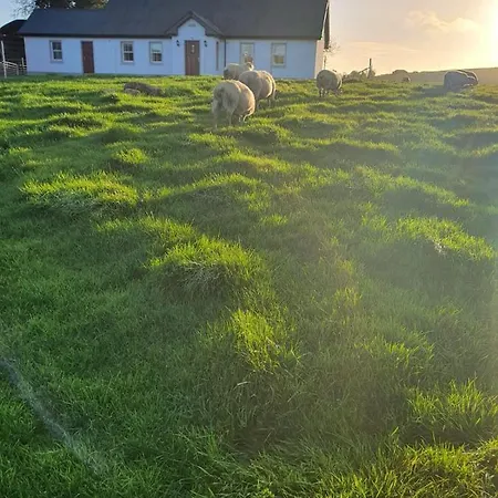 Claragh Semesterbostad