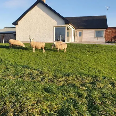 Semesterbostad Claragh Cavan