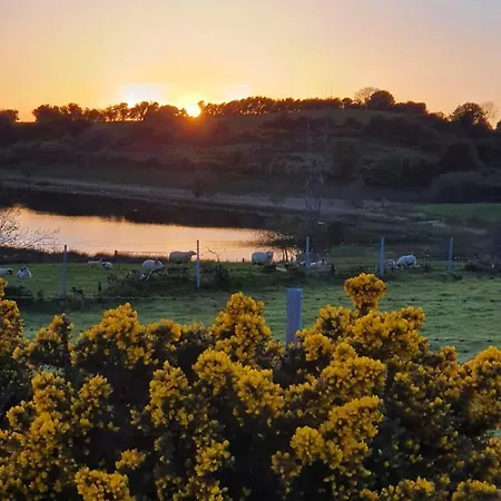 Claragh * Cavan