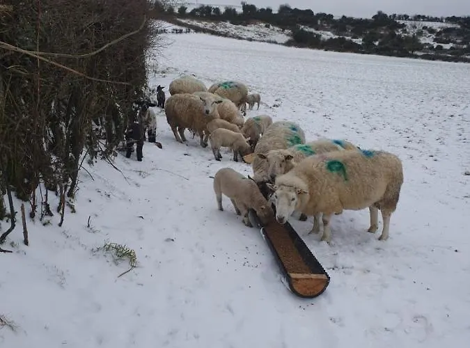 Claragh בית נופש