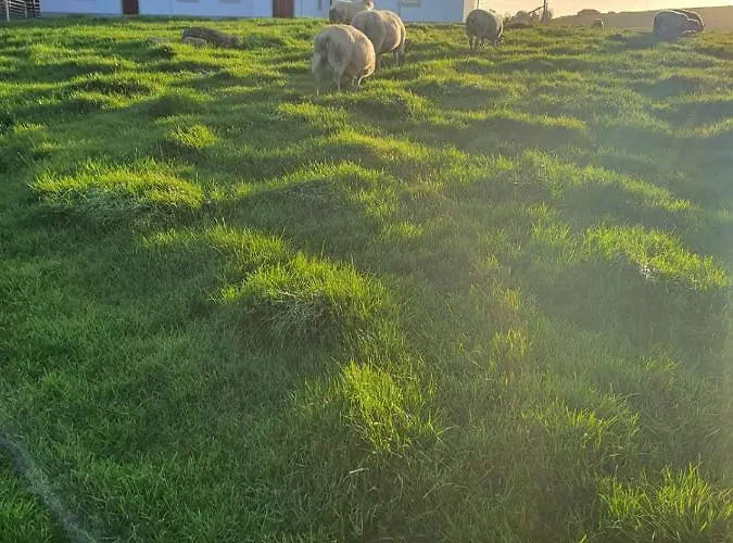 Claragh בית נופש